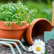 Garden Pot
