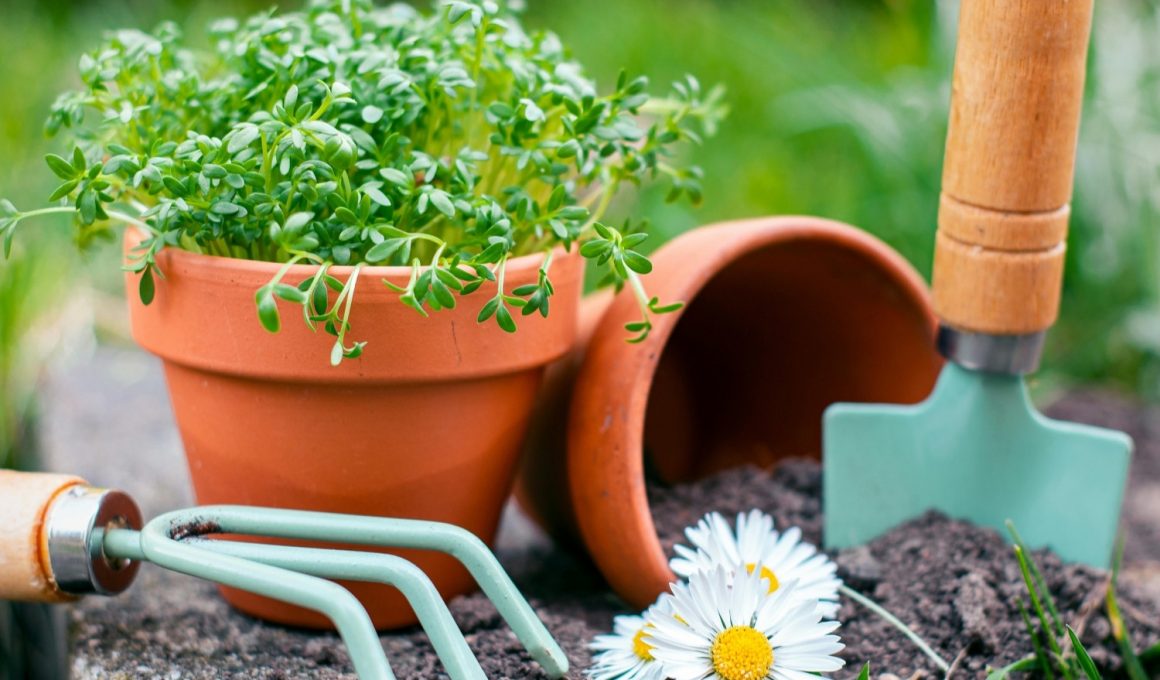 Garden Pot