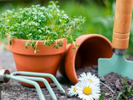 Garden Pot
