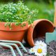 Garden Pot