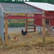 Large Chicken Coop Plans