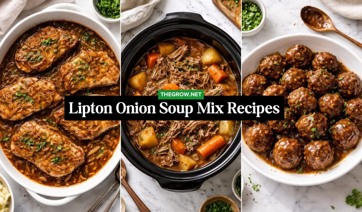 Lipton Onion Soup Mix Recipes