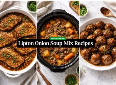 Lipton Onion Soup Mix Recipes