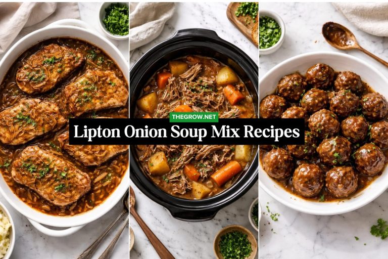 Lipton Onion Soup Mix Recipes