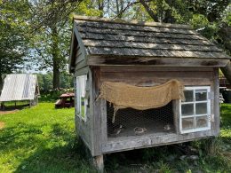 Pallet Chicken Coop