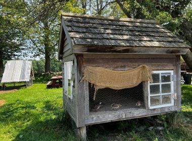Pallet Chicken Coop