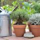 Patio Herb Garden
