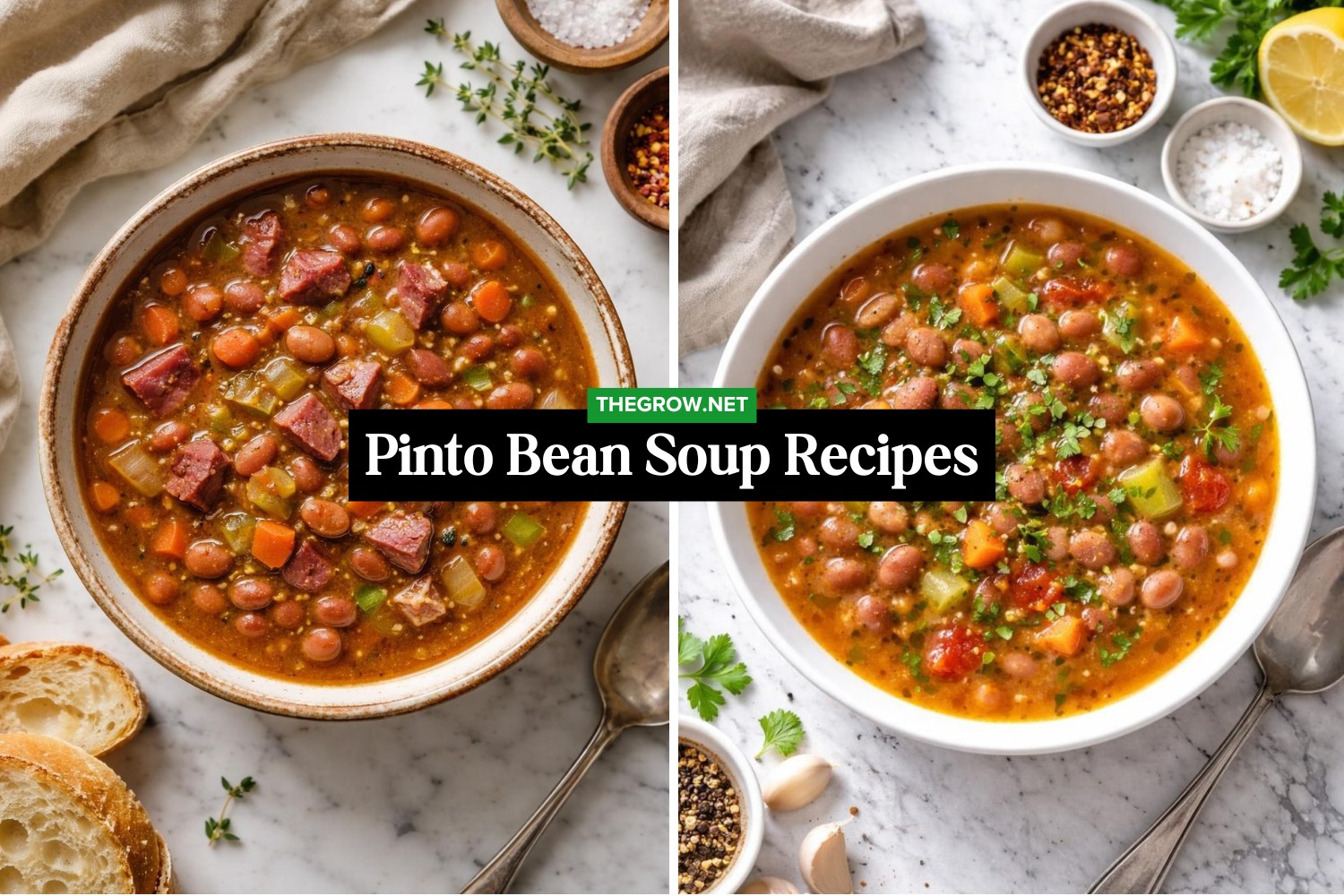 Pinto Bean Soup Recipes