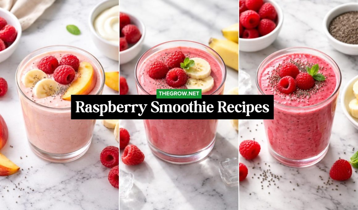 Refreshing Raspberry Smoothie Recipes