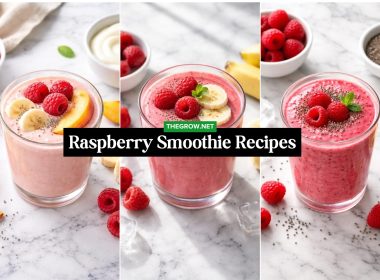 Refreshing Raspberry Smoothie Recipes