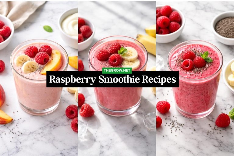 Refreshing Raspberry Smoothie Recipes