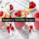 Refreshing Raspberry Smoothie Recipes