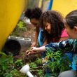 School Garden Ideas