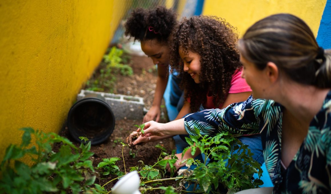 School Garden Ideas