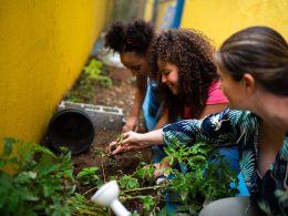 School Garden Ideas