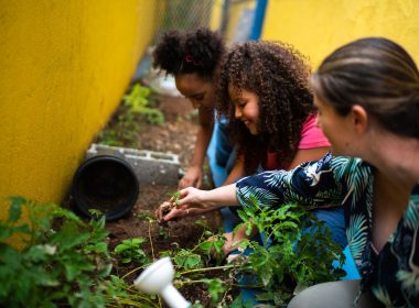 School Garden Ideas