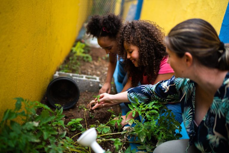 School Garden Ideas