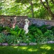 Shady Garden Ideas