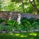Shady Garden Ideas
