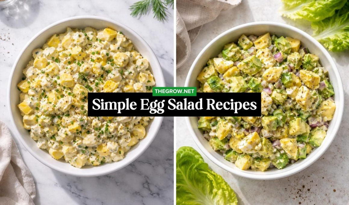 Simple Egg Salad Recipes