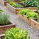 Slanted Backyard Ideas