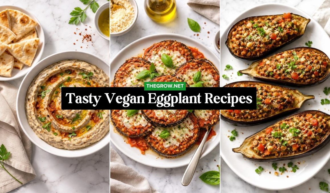Tasty Vegan Eggplant Recipes