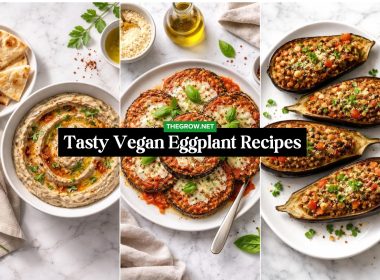 Tasty Vegan Eggplant Recipes