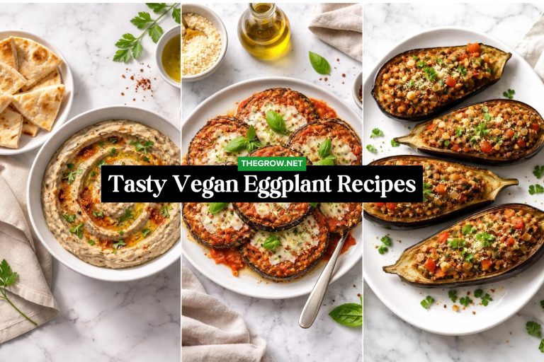 Tasty Vegan Eggplant Recipes