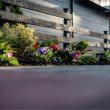 Tiny Townhouse Patio