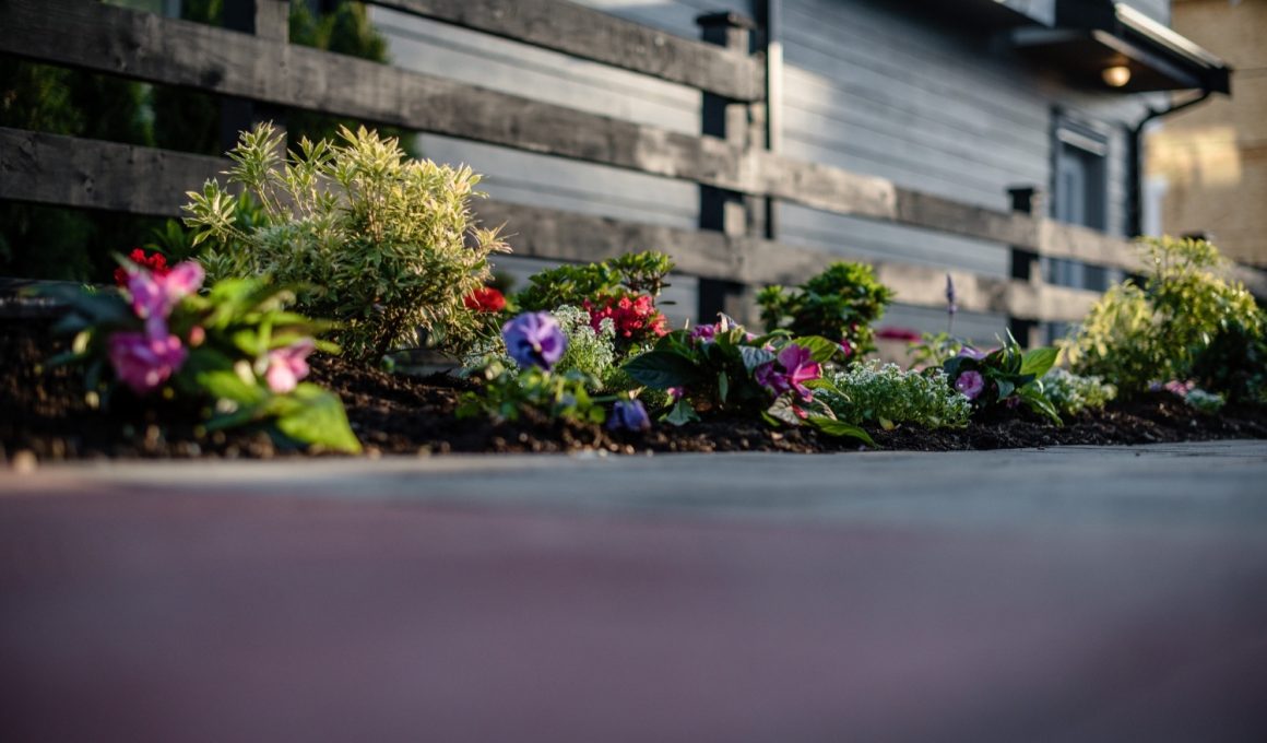 Tiny Townhouse Patio
