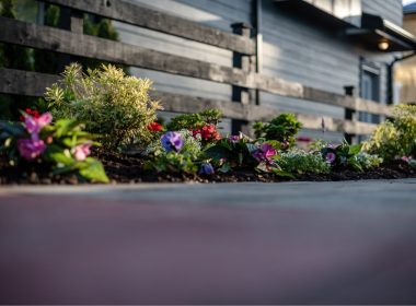 Tiny Townhouse Patio
