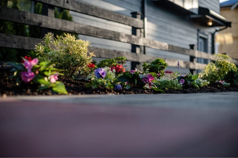 Tiny Townhouse Patio