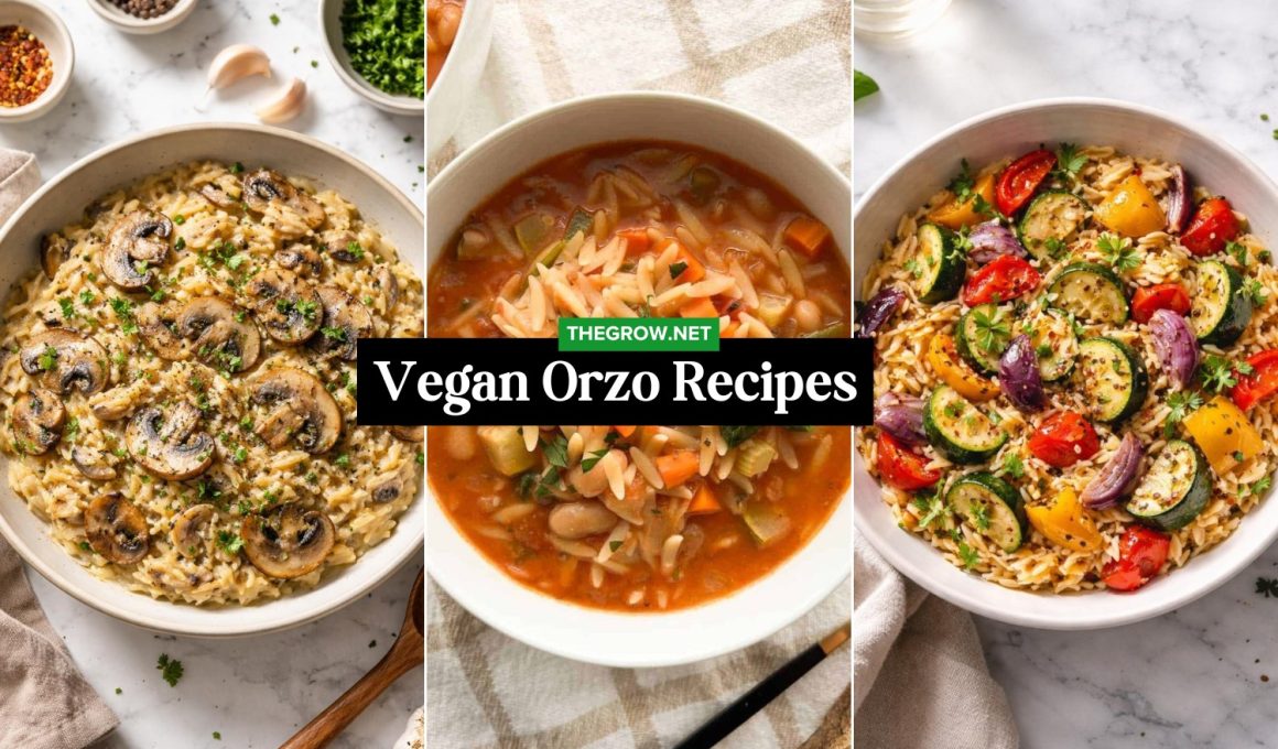 Vegan Orzo Recipes for Simple Meals