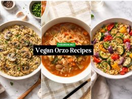 Vegan Orzo Recipes for Simple Meals