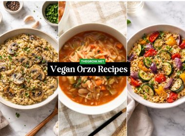 Vegan Orzo Recipes for Simple Meals