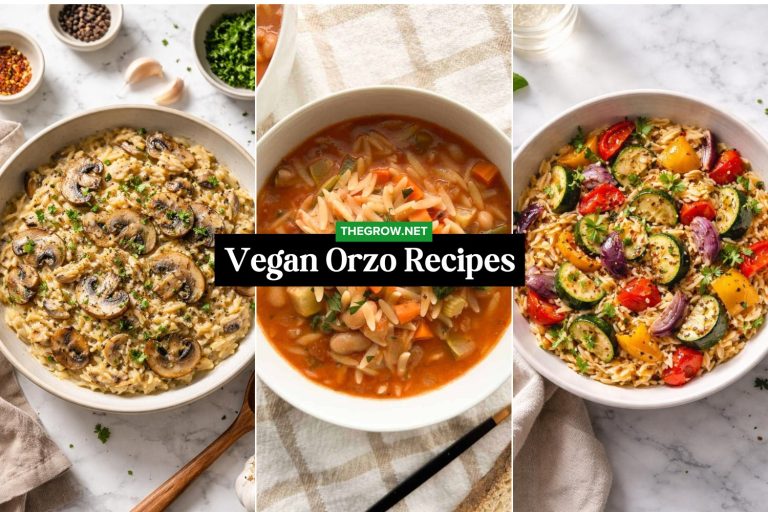 Vegan Orzo Recipes for Simple Meals