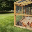 Well-Made Walk In Chicken Coop Designs To Copy