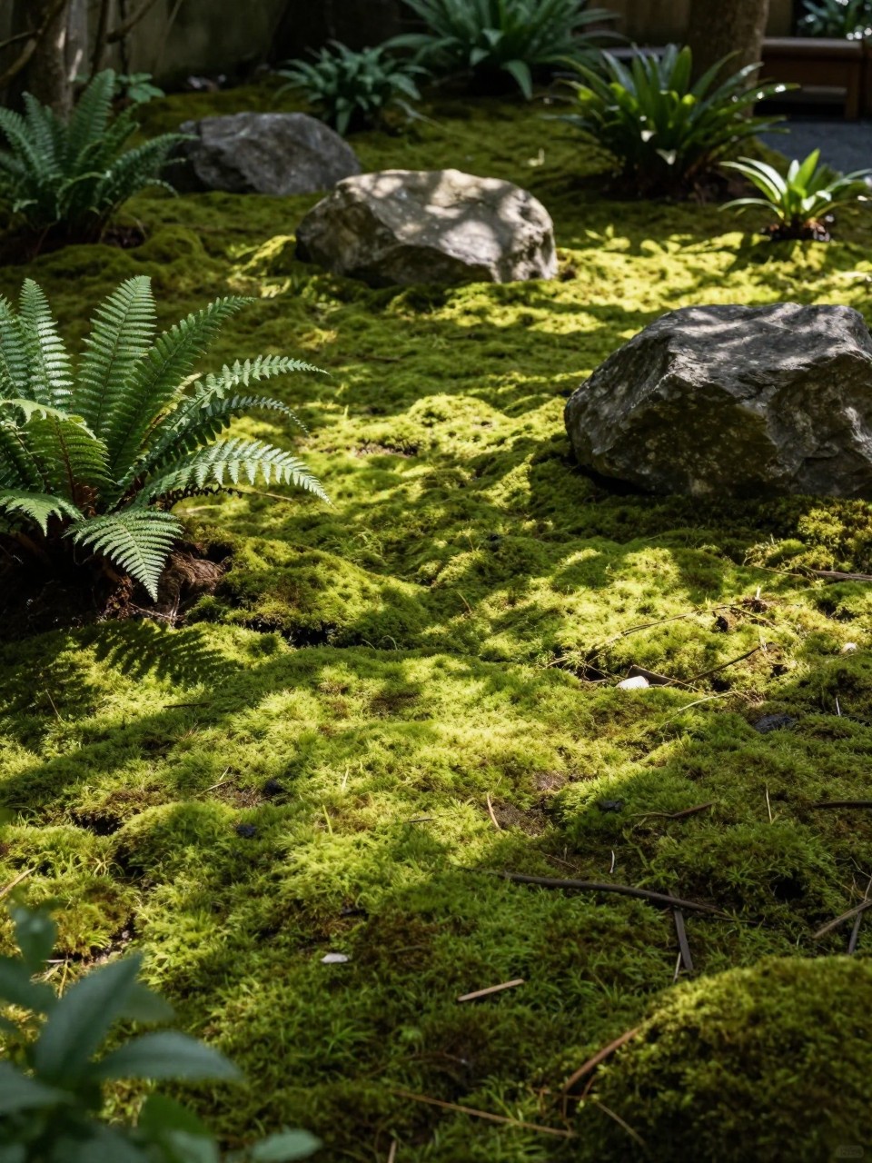 Image Prompt: A serene shady moss garden with soft green moss carpeting the ground, natural stones, small boulders, low ferns, Japanese-inspired garden mood, quiet and premium landscape design, dappled shade, realistic DSLR photo quality, no people, no watermarks on images.