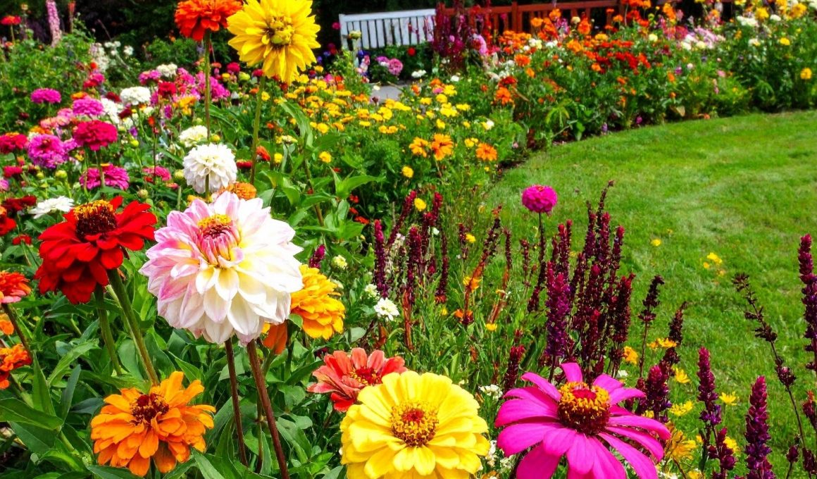 Awesome Layered Flower Bed Ideas You'll Love