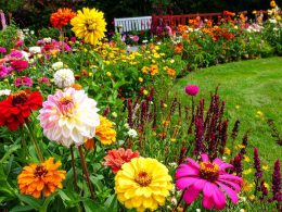 Awesome Layered Flower Bed Ideas You'll Love