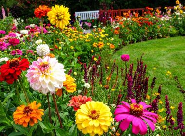 Awesome Layered Flower Bed Ideas You'll Love