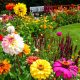 Awesome Layered Flower Bed Ideas You'll Love