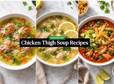 Chicken Thigh Soup Recipes for Comfort