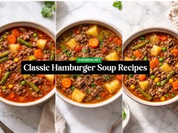 Classic Hamburger Soup Recipes
