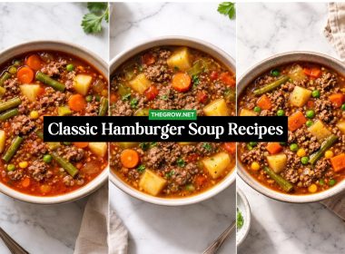 Classic Hamburger Soup Recipes