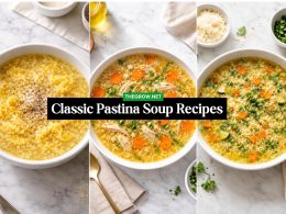 Classic Pastina Soup Recipes