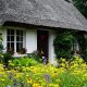 Cute Cottage Garden Flower Bed Ideas