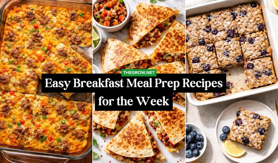 Easy Breakfast Meal Prep Recipes for the Week