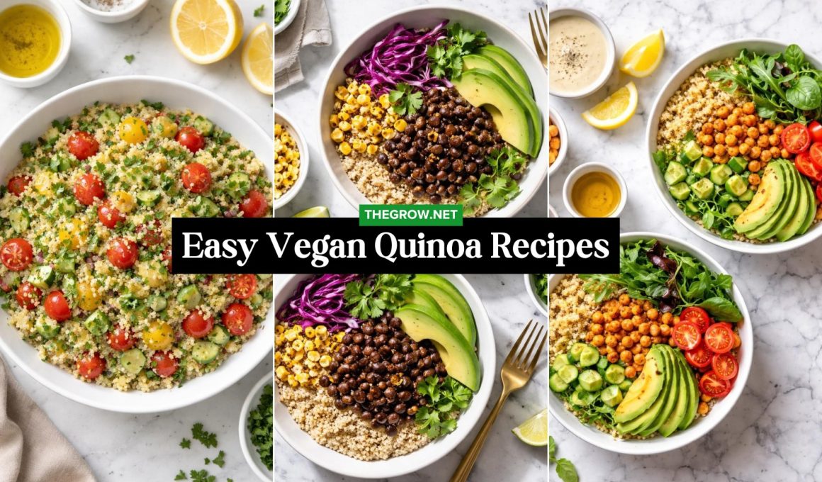 Easy Vegan Quinoa Recipes