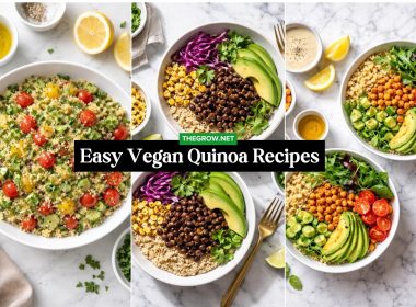 Easy Vegan Quinoa Recipes